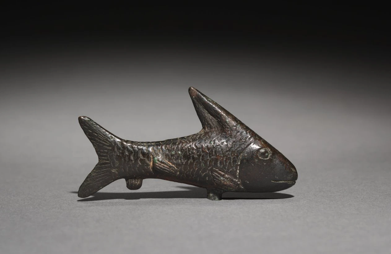 Small Lepidotus Fish